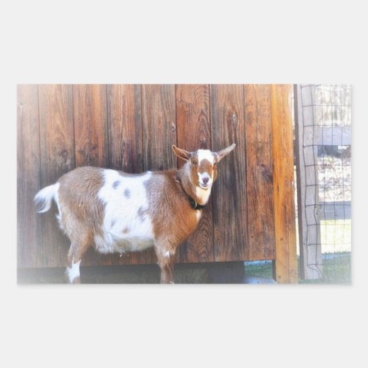 Geitte op de Sticker van het Boerderij (Voorkant)