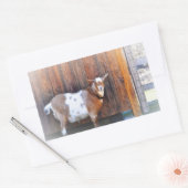 Geitte op de Sticker van het Boerderij (Envelop)