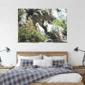 Geitten en Kind in berggebieden - Fotografie in wi Canvas Afdruk (Insitu (Slaapkamer))
