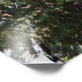 Geitten en Kind in berggebieden - Fotografie in wi Foto Afdruk (Hoek)