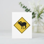 Geitten in de kruising, verkeersborden, Canada Briefkaart (Staand voorkant)