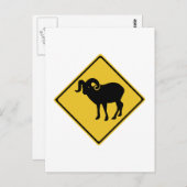 Geitten in de kruising, verkeersborden, Canada Briefkaart (Voorkant / Achterkant)