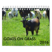 Geitten op de Grass K-N-S kalender van het Boerder (Hoes)