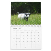 Geitten op de Grass K-N-S kalender van het Boerder (Feb 2027)