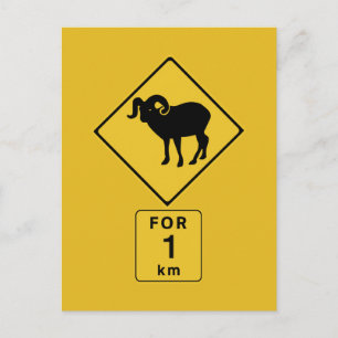 Geitten van het kruising-gebergte (2), verkeersbor briefkaart