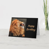 Gejaardagavond Gevaarlijk Sneeze Laughing Lion