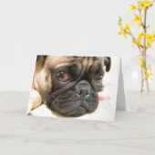 Gejaarde leeftijd niet gelukkig, Humor met hond Kaart (Gele Bloem)