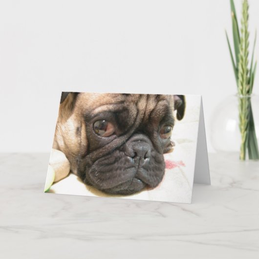 Gejaarde leeftijd niet gelukkig, Humor met hond Kaart (Voorkant)