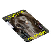 Gek lab aan boord van magneet (Rechterzijde)