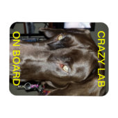 Gek lab aan boord van magneet (Horizontaal)