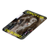 Gek lab aan boord van magneet (Linkerzijde)