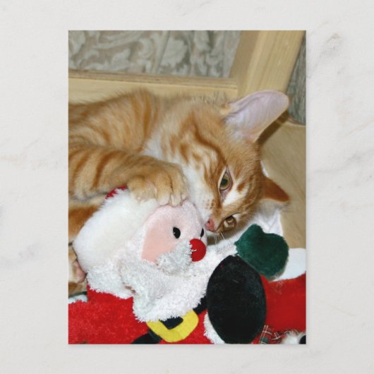 Gek op de Kerstman Feestdagenkaart (Voorkant)