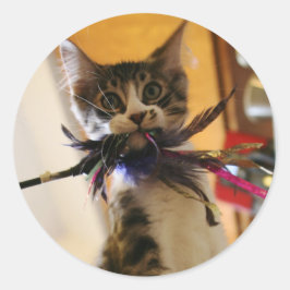 Gek voor de veer ronde sticker