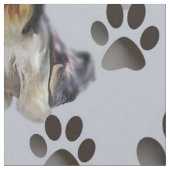 Gekaarde Collie Naadloos weefsel Stof (Close Up)