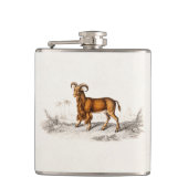  gekaarde geitenvangers heupfles (Voorkant)