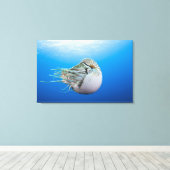 Gekamde Nautilus (Nautilus pompilius), grote bar Canvas Afdruk (Insitu (Houten vloer))