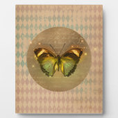  gekantelde vlinder fotoplaat (Voorkant)