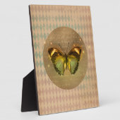  gekantelde vlinder fotoplaat (Zijkant)