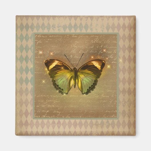  gekantelde vlinder magneet (Voorkant)