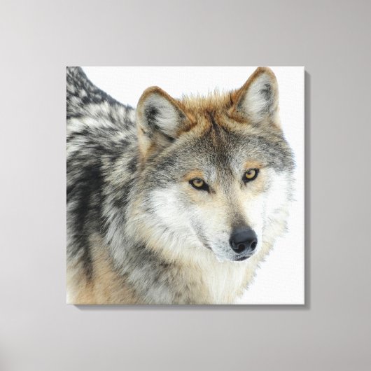 Gekapeld Canvas/Wolf Canvas Afdruk (Voorkant)