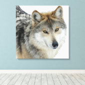 Gekapeld Canvas/Wolf Canvas Afdruk (Insitu (Houten vloer))
