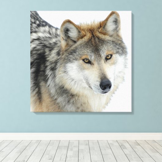 Gekapeld Canvas/Wolf Canvas Afdruk (Insitu (Houten vloer))