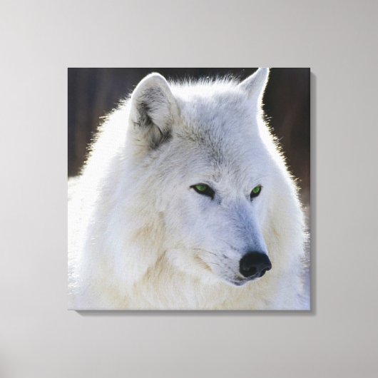 Gekapelde canvas/groene witte wolf canvas afdruk (Voorkant)