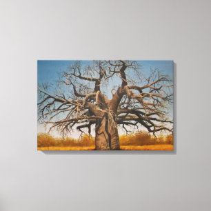 Gekapt doek van de Baobab-boom Canvas Afdruk