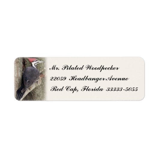 Gekielde Specht Aangepaste Retouradreslabels Etiket (Voorkant)