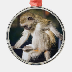 Gekke aap metalen ornament