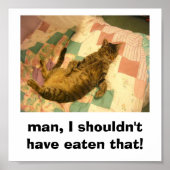 gekke afbeelding poster (Voorkant)