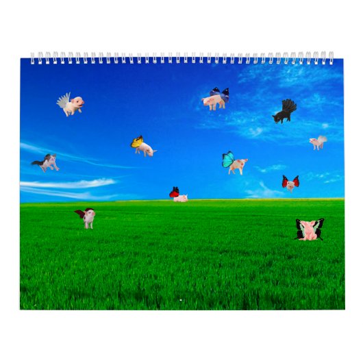 Gekke Afbeeldingen Kalender (Hoes)