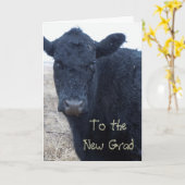 Gekke Afstuderen Gefeliciteerd Koe Ranch Boerderij Kaart (Gele Bloem)