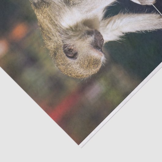 Gekke apenpapier tissuepapier (Detail)