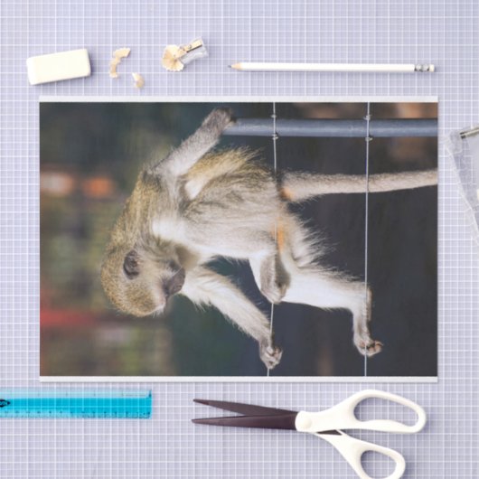 Gekke apenpapier tissuepapier (Craft)