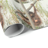 Gekke Baby orang-oetan inpakpapier (Rol Hoek)