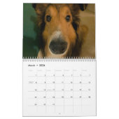 Gekke beschutting kalender (Mar 2026)