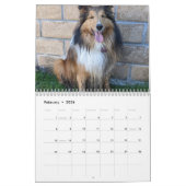 Gekke beschutting kalender (Feb 2026)