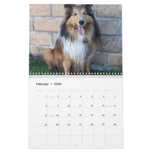 Gekke beschutting kalender (Feb 2026)