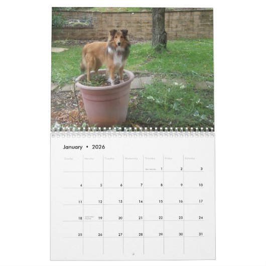 Gekke beschutting kalender (Jan 2026)