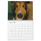 Gekke beschutting kalender (Mar 2027)