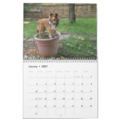 Gekke beschutting kalender (Jan 2027)