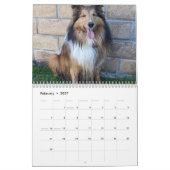 Gekke beschutting kalender (Feb 2027)