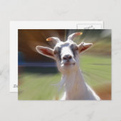 Gekke BillyGoat-foto Briefkaart (Voorkant / Achterkant)