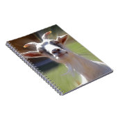 Gekke BillyGoat-foto Notitieboek (Rechterzijde)
