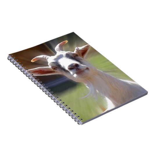 Gekke BillyGoat-foto Notitieboek (Rechterzijde)