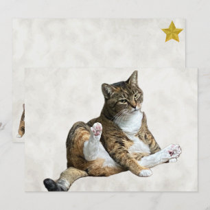 Gekke Cat Pose - Annie's Flat Wenskaart