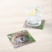 Gekke Cheetah Cub Kartonnen Onderzetters (Insitu)
