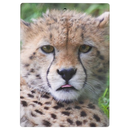 Gekke Cheetah Cub Klembord (Achterkant)