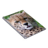 Gekke Cheetah Cub Notitieboek (Rechterzijde)